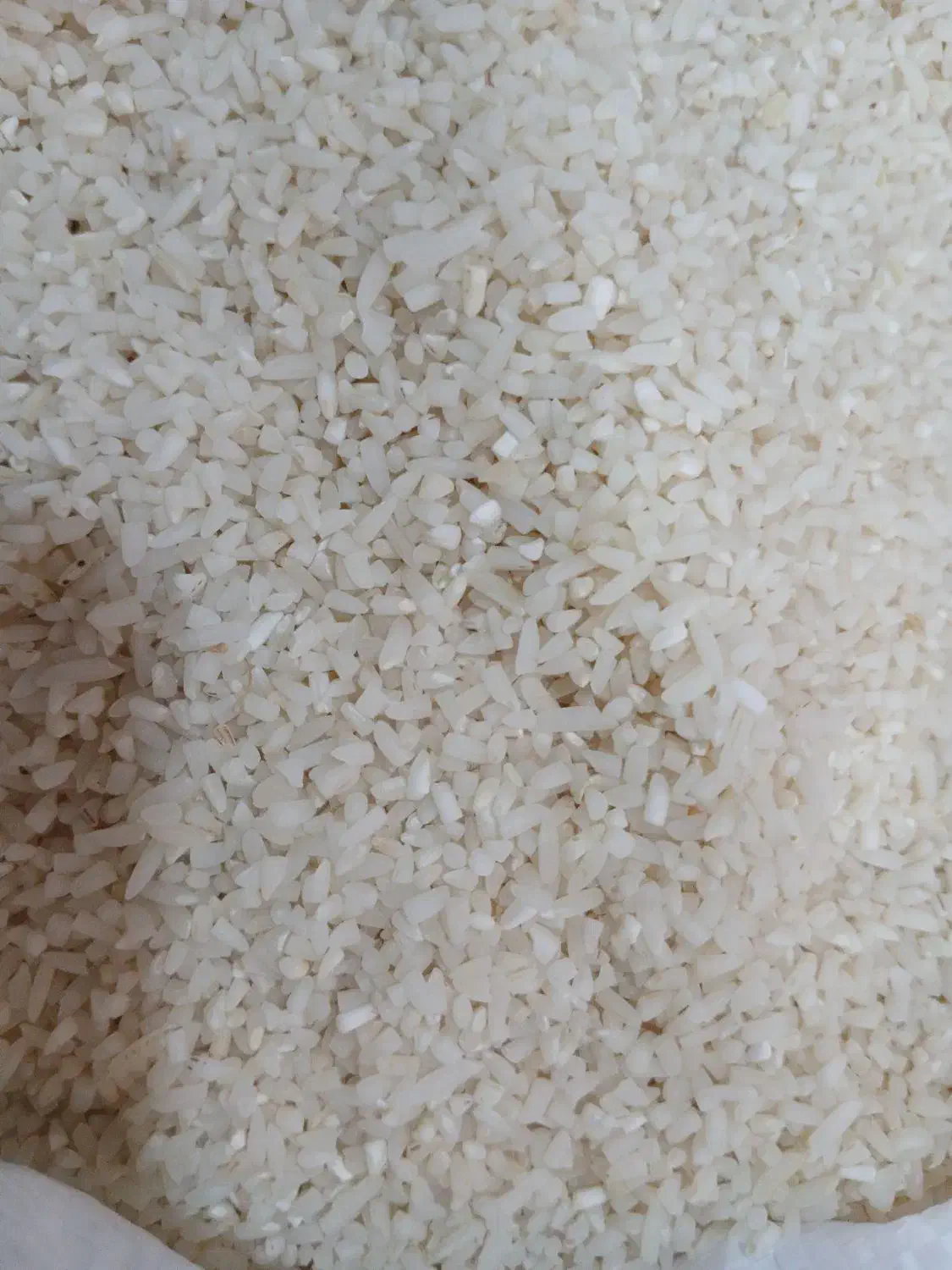 برنج لاشه هاشمی|خوردنی و آشامیدنی|هشتگرد, هشتگرد قدیم|دیوار