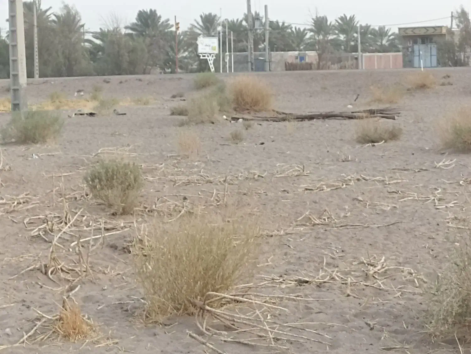 دو دهنه مغازه سه راه بوینگ|فروش زمین و ملک کلنگی|جازموریان, |دیوار