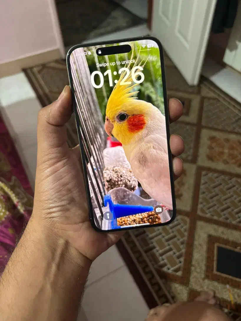 ایفون ۱۵ پرومکس|موبایل|فردیس, شهرک ناز|دیوار