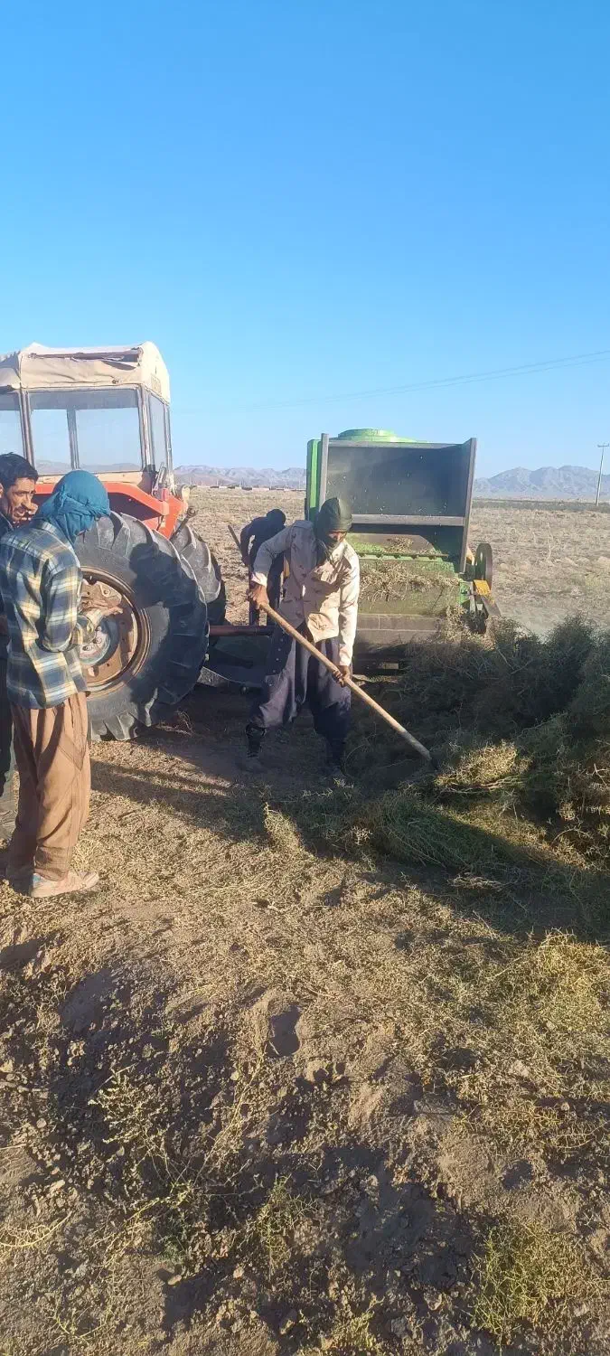 خار کوبیده|لوازم جانبی حیوانات|سربیشه, |دیوار