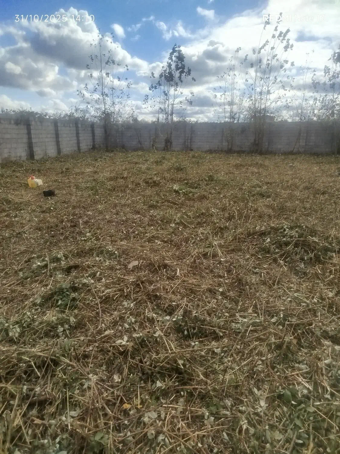 علفزنی.لی زنی.تمشک زنی|خدمات باغبانی و درختکاری|بندر انزلی, امامزاده|دیوار