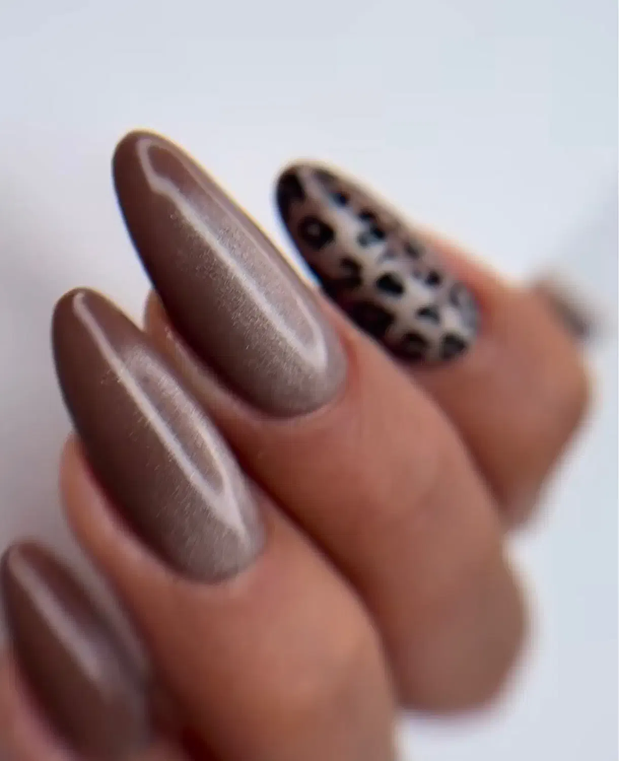 آف کاشت و ترمیم ناخن/شهیدرضایی/طلاییه/شهرک رضوان|خدمات آرایشگری و زیبایی|شیراز, شهرک رضوان|دیوار