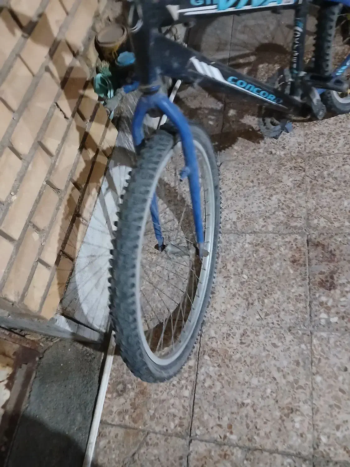 دوچرخه ۲۴ویوا|دوچرخه، اسکیت، اسکوتر|خرمشهر, |دیوار