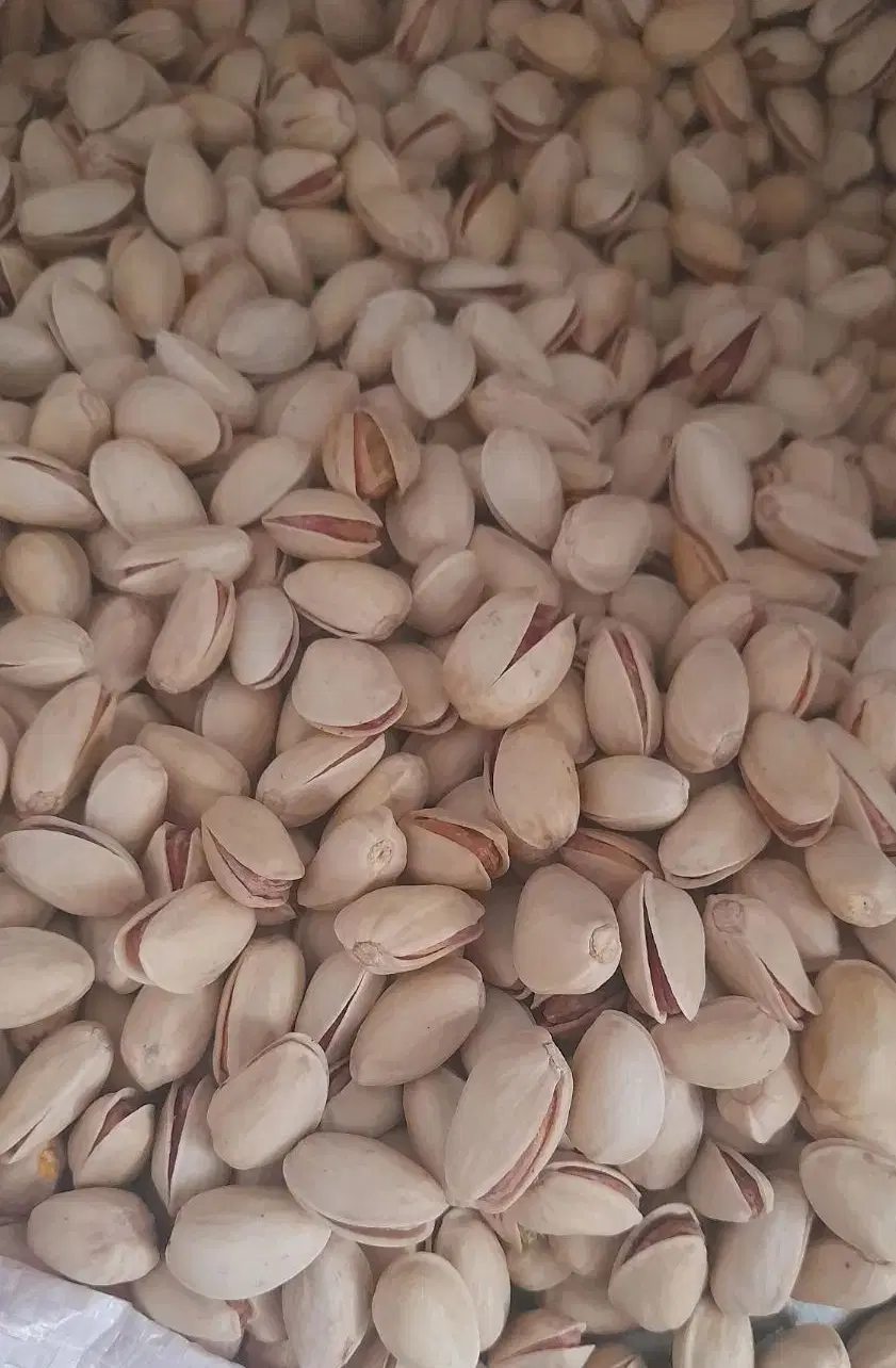 پسته|خوردنی و آشامیدنی|نیشابور, گنبد سبز|دیوار