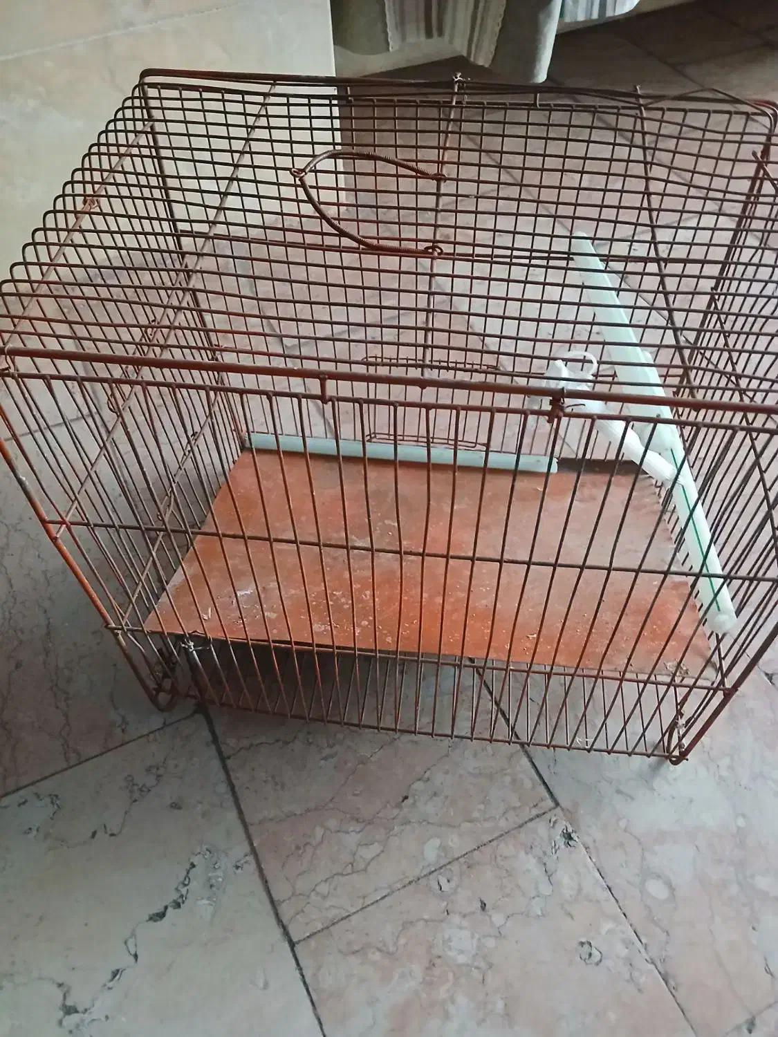 دانه پرنده|لوازم جانبی حیوانات|محمدشهر, ولدآباد|دیوار