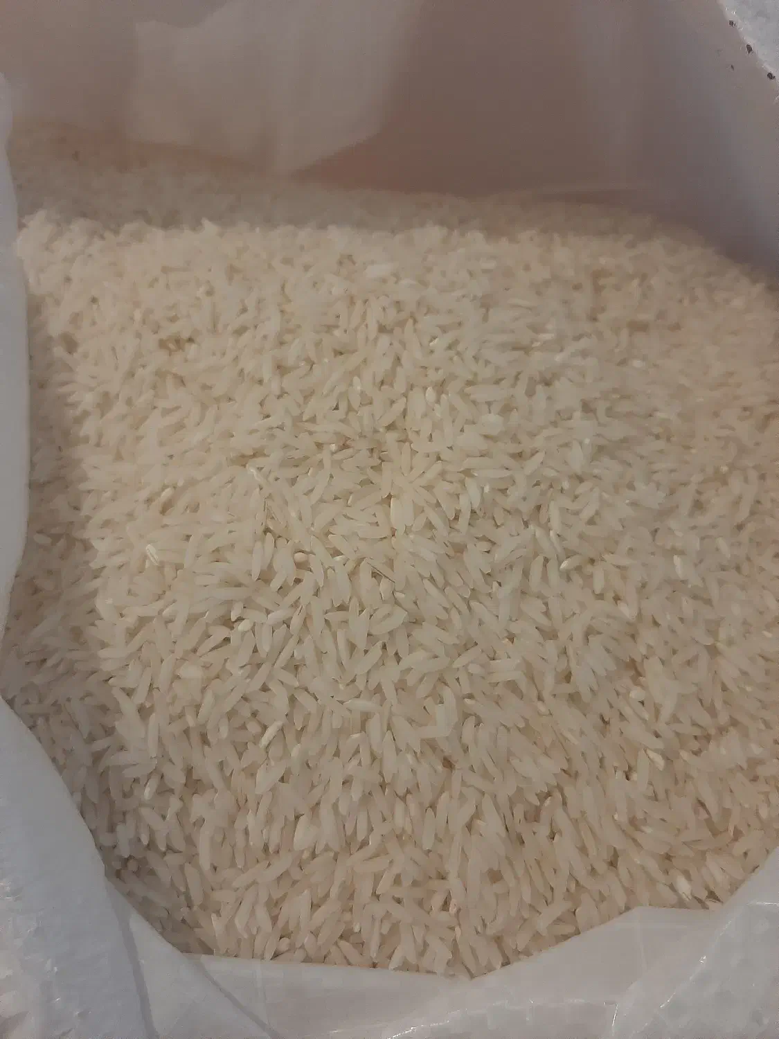 برنج هاشمی اعلا درجه یک|عمدهفروشی|رشت, کوی قدس|دیوار