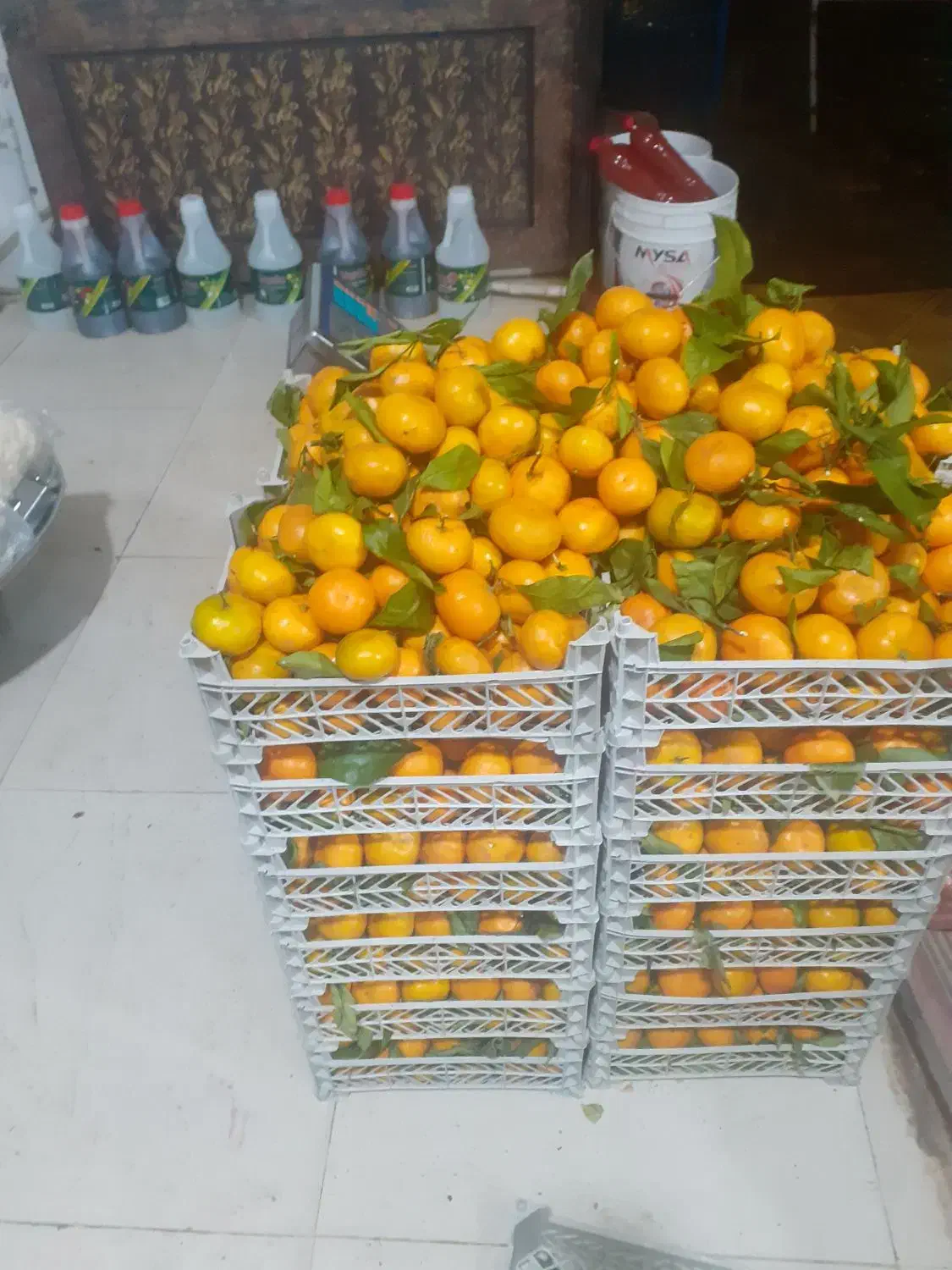 میوه و مرغ فروشی روستای بیاشوش|خوردنی و آشامیدنی|جوانرود, |دیوار