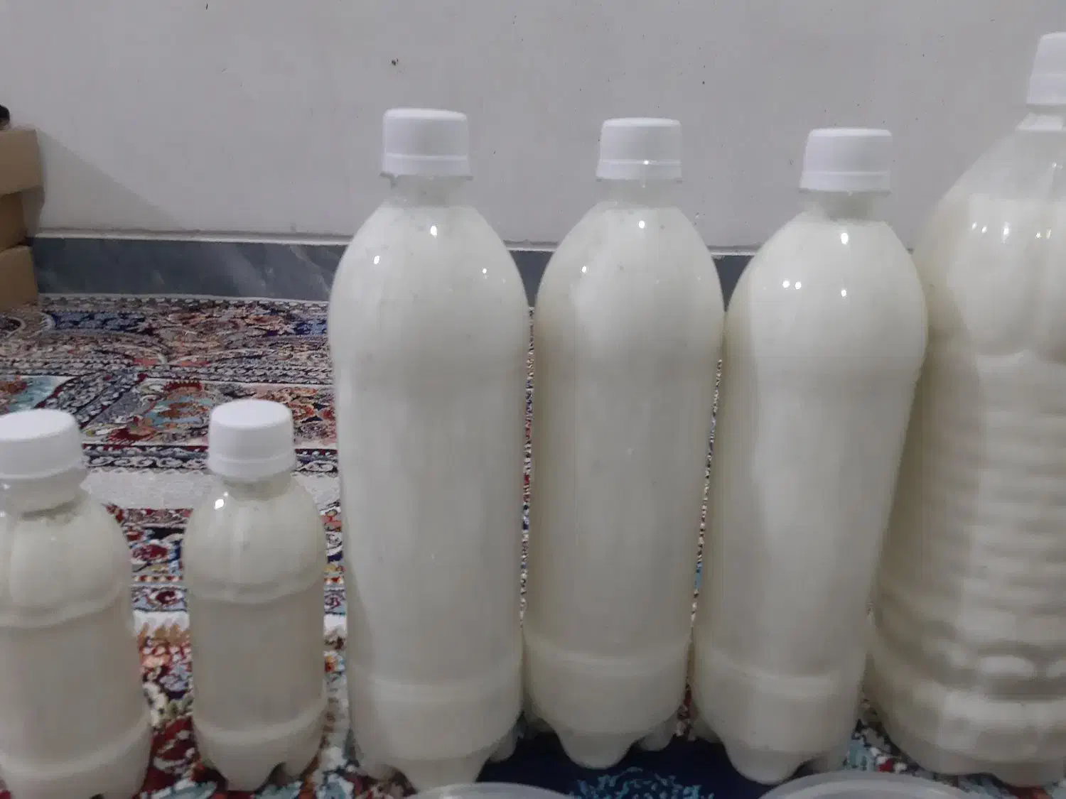 راهنمایی بطری|فعالیت داوطلبانه|شیراز, آبیاری|دیوار