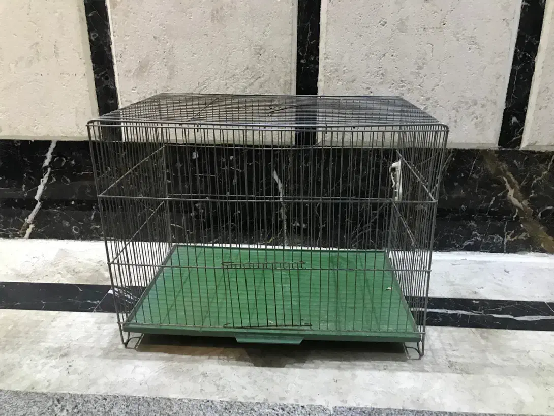 قفس پرنده|لوازم جانبی حیوانات|تهران, حکیمیه|دیوار