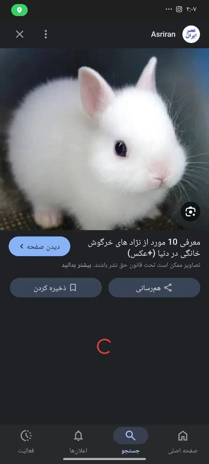 خرگوش|موش و خرگوش|سنندج, |دیوار