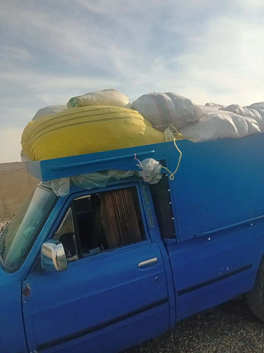 کود کبوتر خشک همیشه موجود|خدمات باغبانی و درختکاری|صوفیان, |دیوار