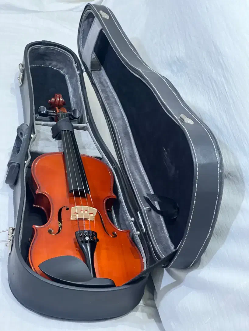 ویولن ویلن ویالون سوزوکی|ویولن|تهران, تهرانپارس شرقی|دیوار