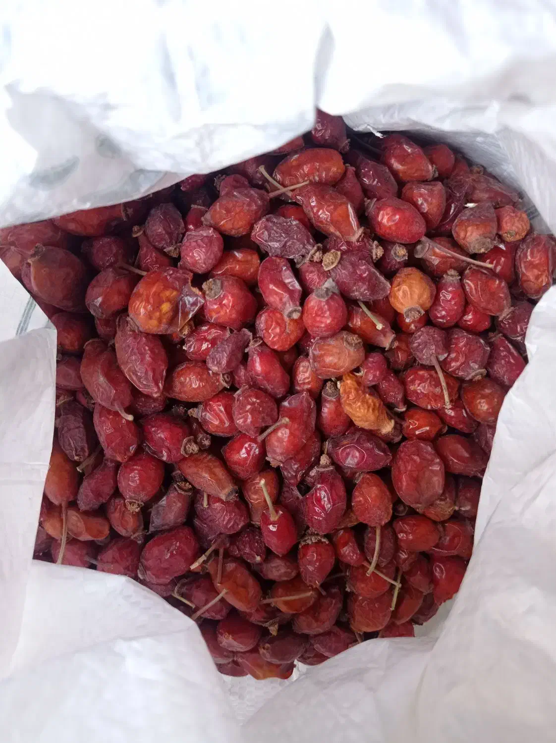 میوه گل نسترن (گیلدیگ)|خوردنی و آشامیدنی|تهران, افسریه جنوبی|دیوار