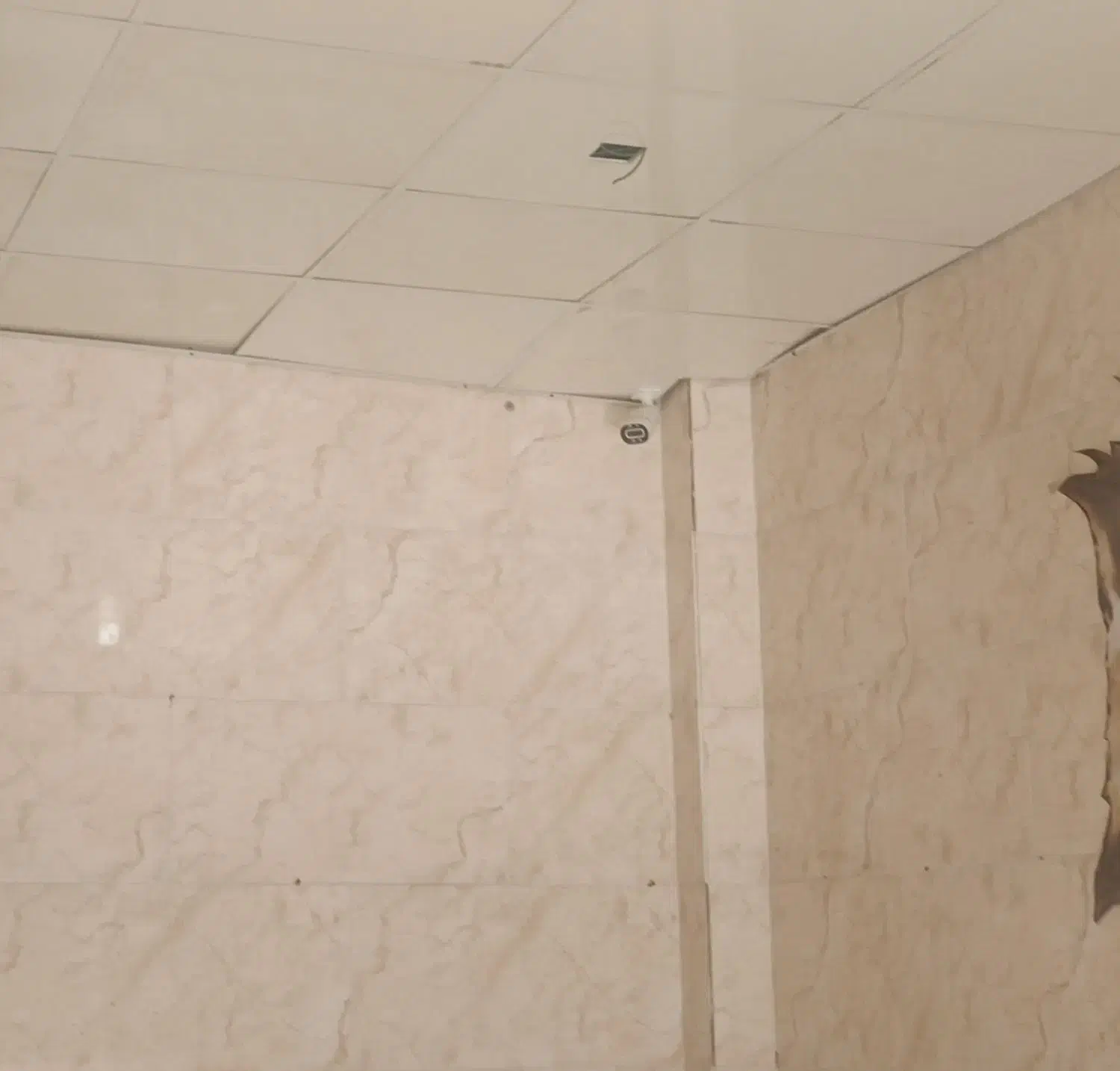 ساشا اروند نصب ، تعمیر دوربین ، آیفون و دزدگیر|خدمات پیشه و مهارت|آبادان, |دیوار