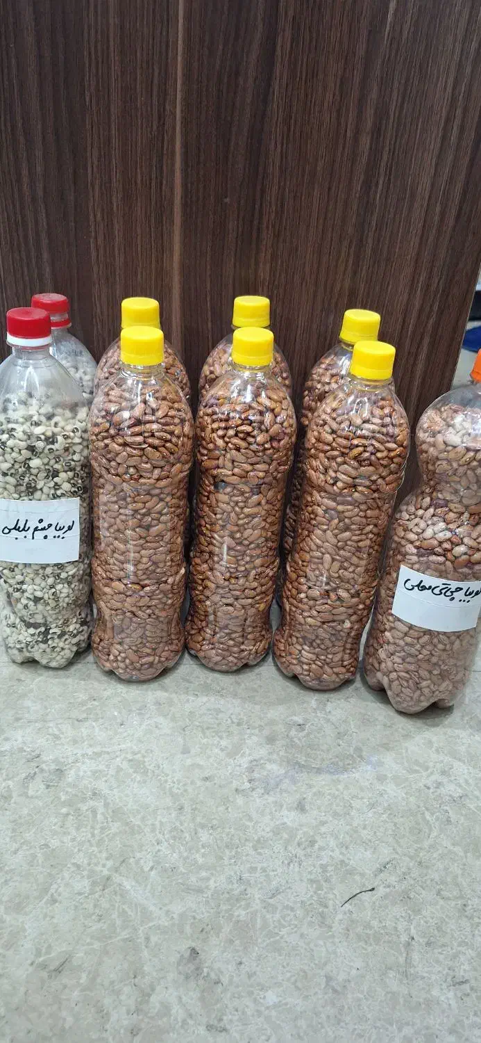 فروش  لوبیا محلی برای کاشت قیمت مناسب|خوردنی و آشامیدنی|لاهیجان, امیرشهید|دیوار