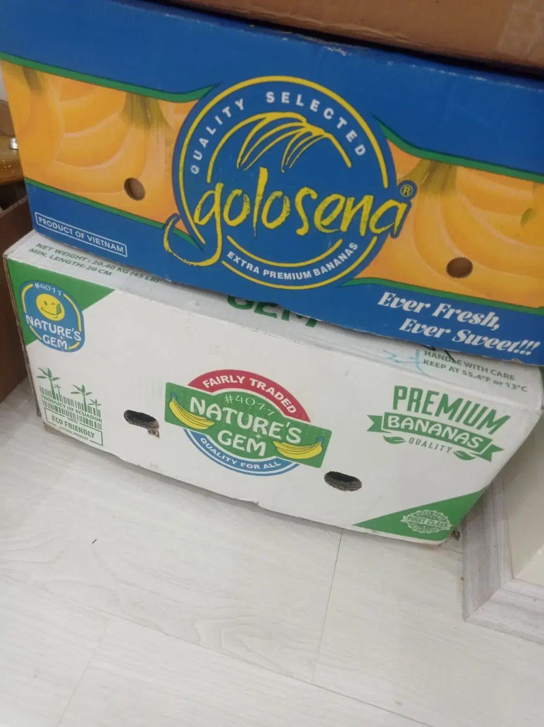 جعبه موز قوطی|ظروف نگهدارنده، پلاستیکی، یک‌بارمصرف|تبریز, |دیوار