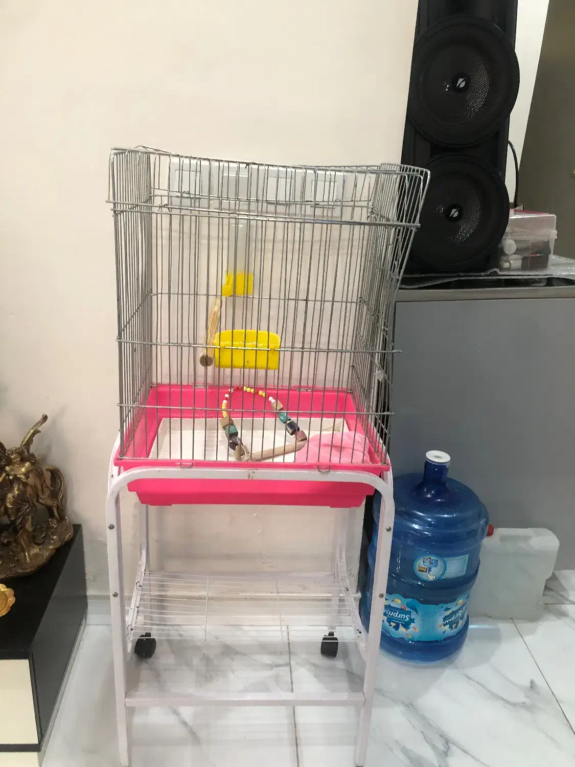 قفس عروس هلندی|لوازم جانبی حیوانات|تهران, خاک سفید|دیوار