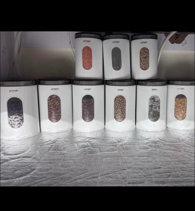 ظروف لیمون اصلی|ظروف نگهدارنده، پلاستیکی، یک‌بارمصرف|تربت‌حیدریه, کاشانی|دیوار