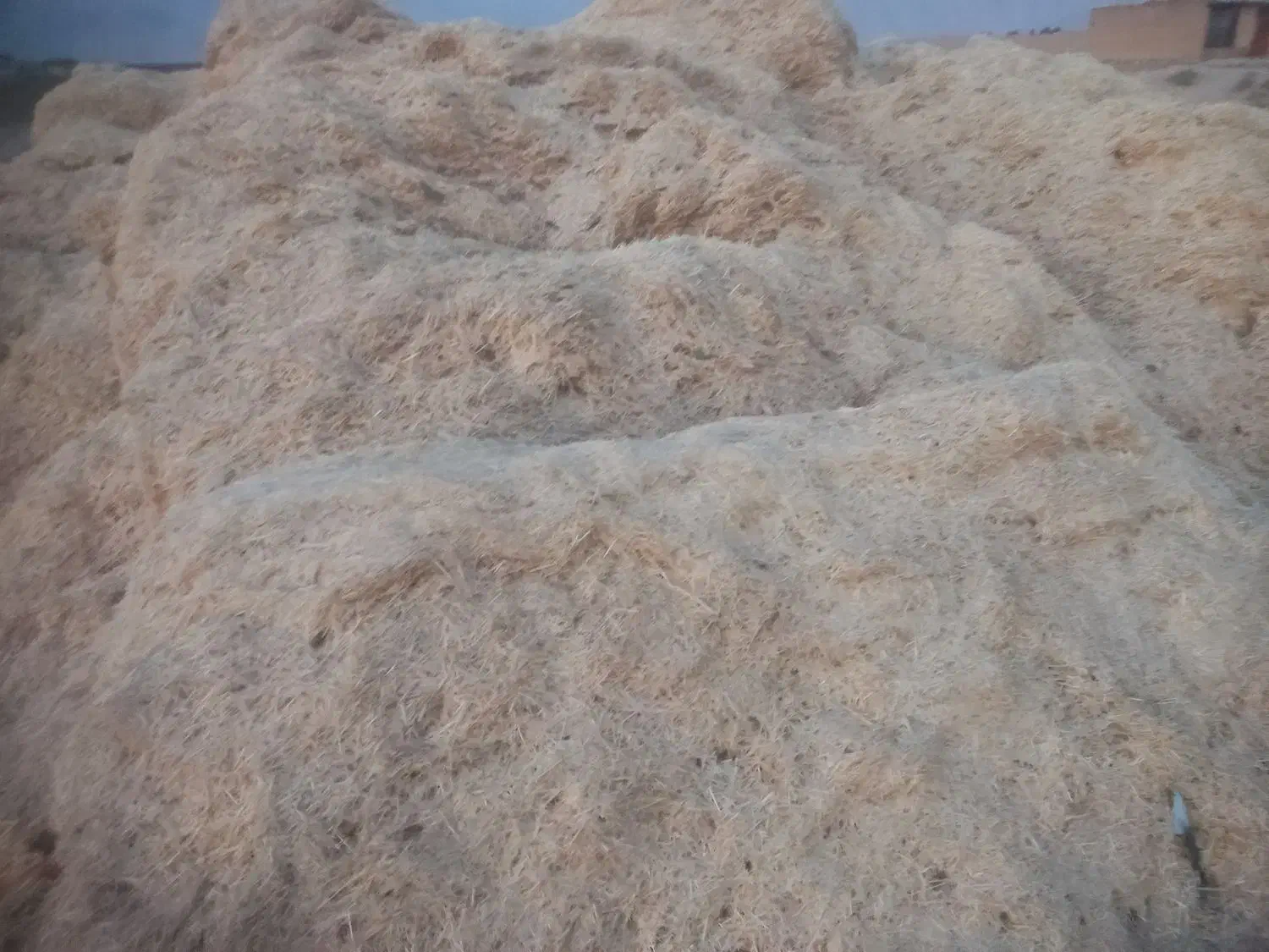 فروش ۴تن کاه گندم|حیوانات مزرعه|مرودشت, رودبال|دیوار