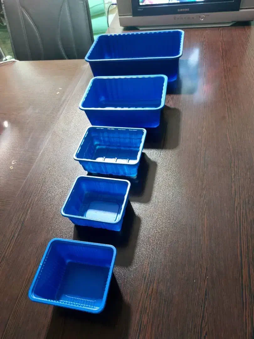 ظرف قارچ|ظروف نگهدارنده، پلاستیکی، یکبارمصرف|گرگان, |دیوار