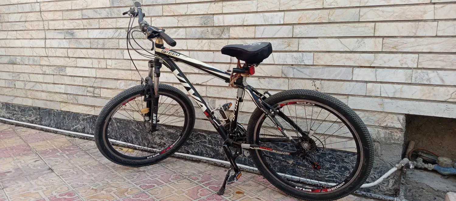 دوچرخه ویوا اسپید|دوچرخه، اسکیت، اسکوتر|نی‌ریز, |دیوار