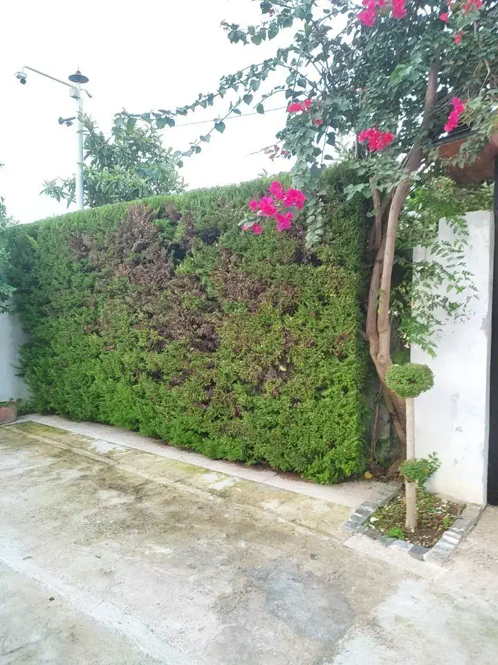 هرس سمپاشی گلکاری علف تراشی چمن کاری کوددهی|خدمات باغبانی و درختکاری|نوشهر, |دیوار