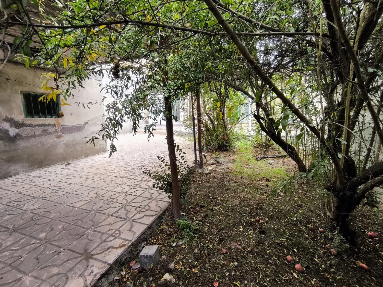 ویلایی ۲۸۰ متری ،حیاط ماشین‌رو+باغچه مثمر،کوچه 19|فروش خانه و ویلا|پارس‌آباد, |دیوار