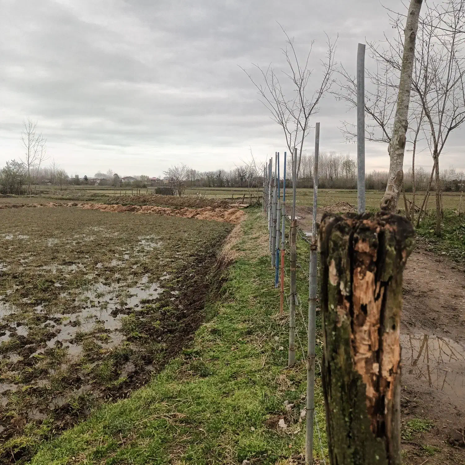 ۱۰۰۰ مترزمین مسکونی/سرمایه گزاری /رضوانشهر|فروش زمین و ملک کلنگی|رضوانشهر, |دیوار