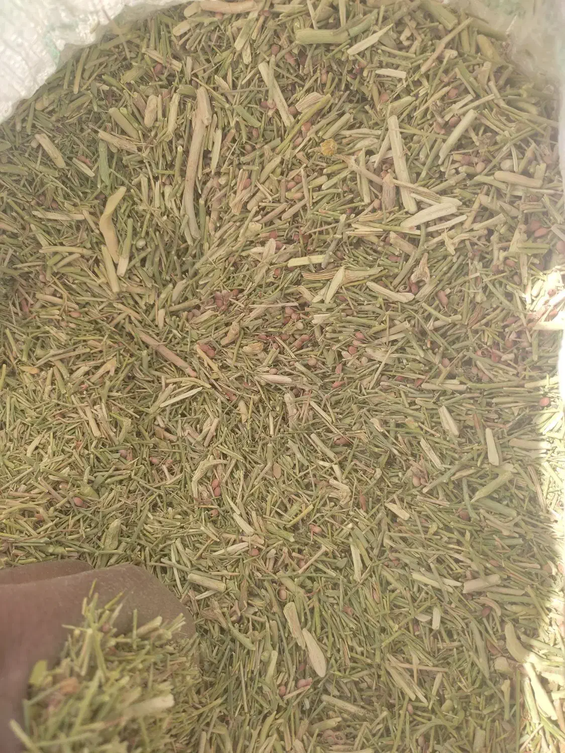 خارشتر برای دام و شترمرغ و گاو داری و عرق گیری|حیوانات مزرعه|شیراز, احمدی جنوبی|دیوار