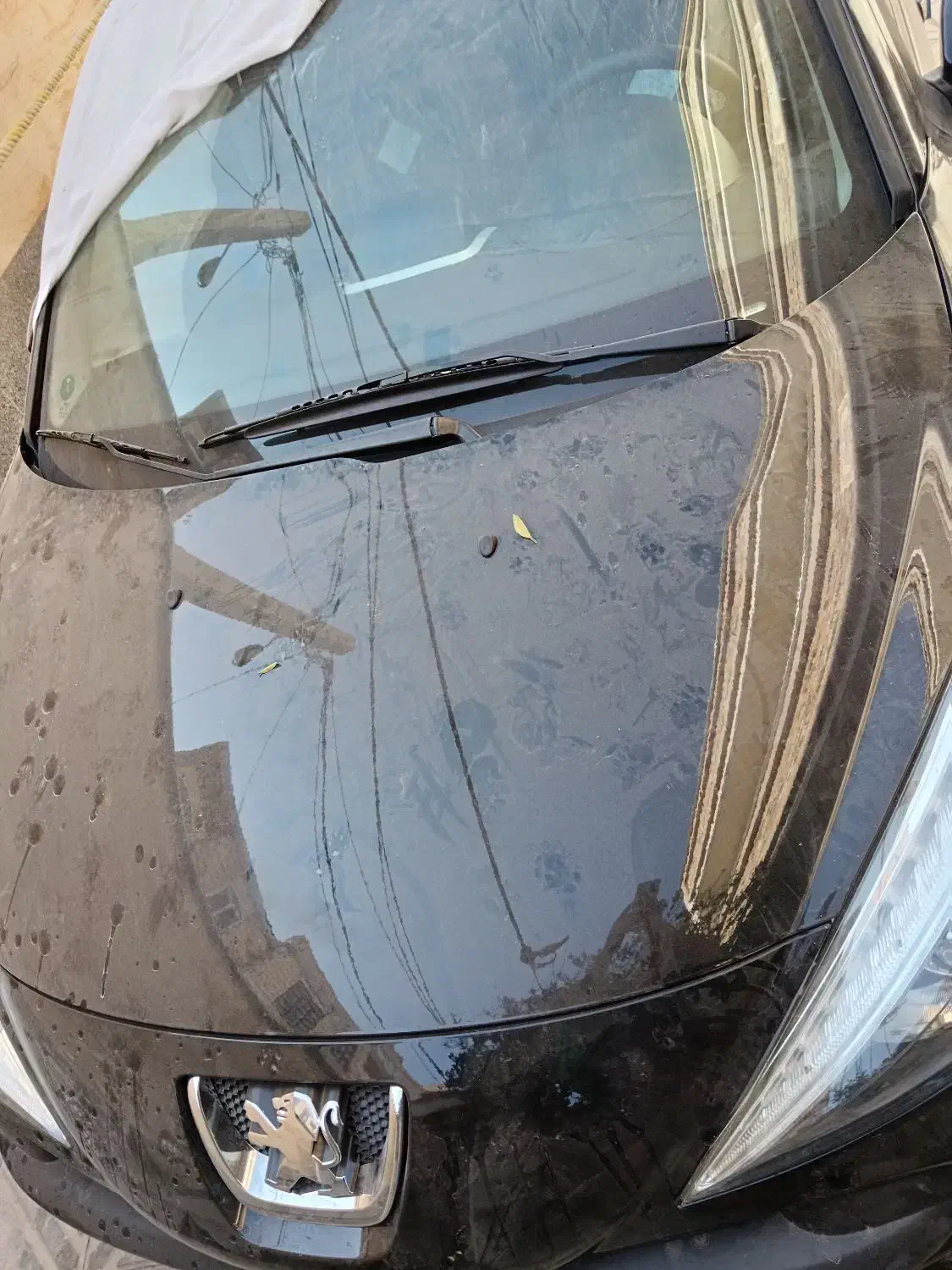 207 پانا مشکی ابنوس404|خودرو سواری و وانت|شیراز, ملاصدرا|دیوار