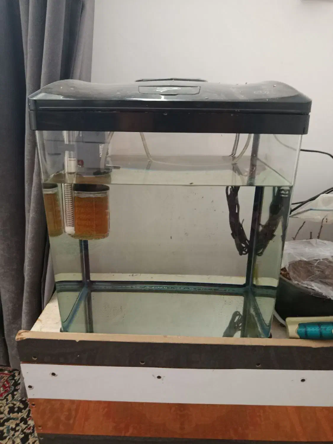 آکواریوم|ماهی|جیرفت, |دیوار