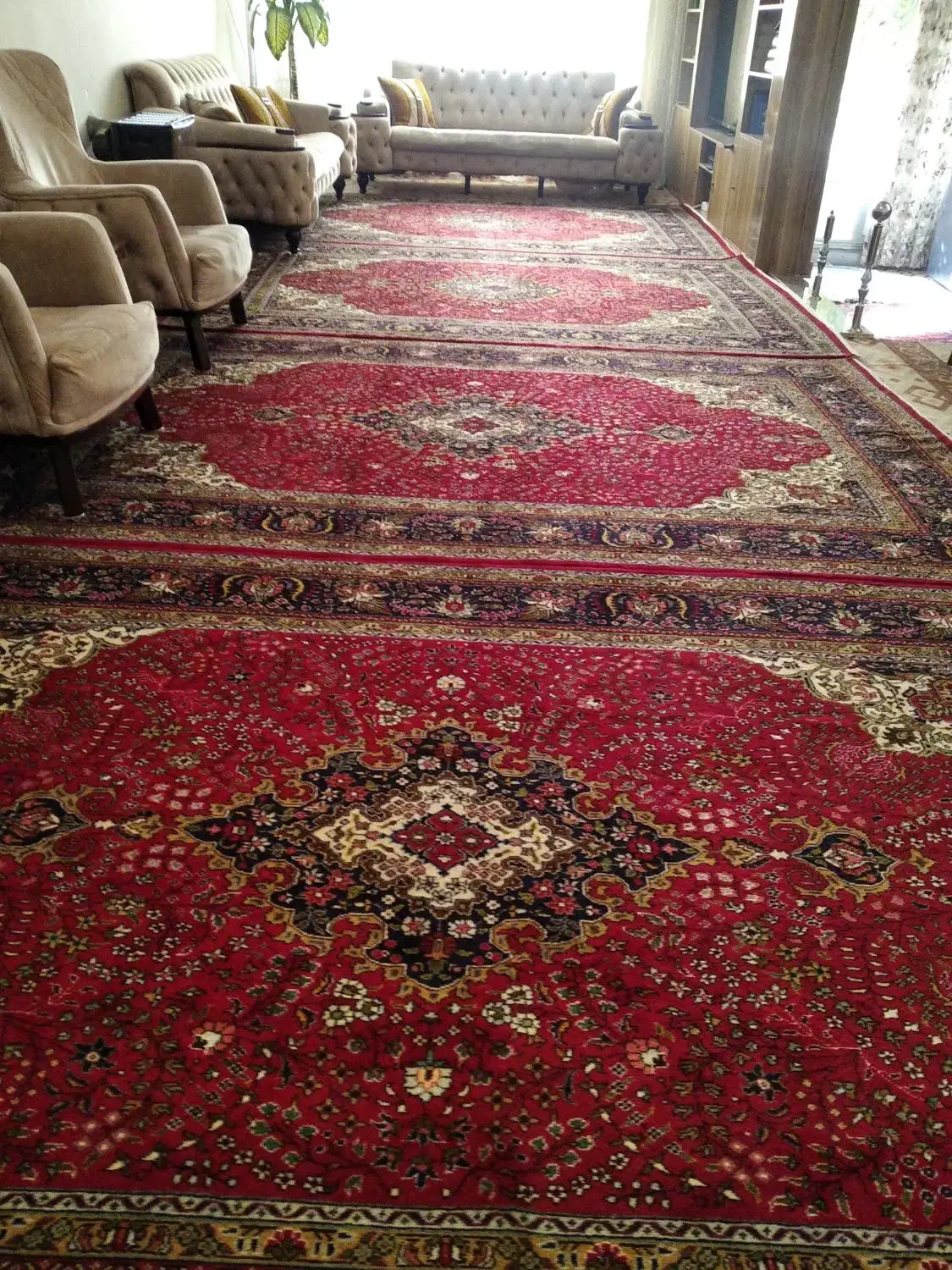 فرش دستباف|فرش|اردبیل, |دیوار