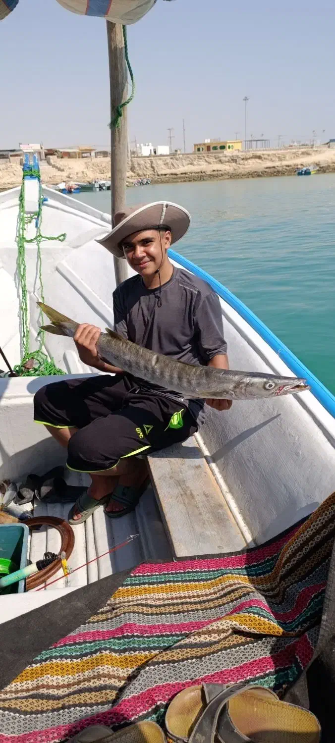 تور تفریحی ماهیگیری|تور و چارتر|قشم, |دیوار