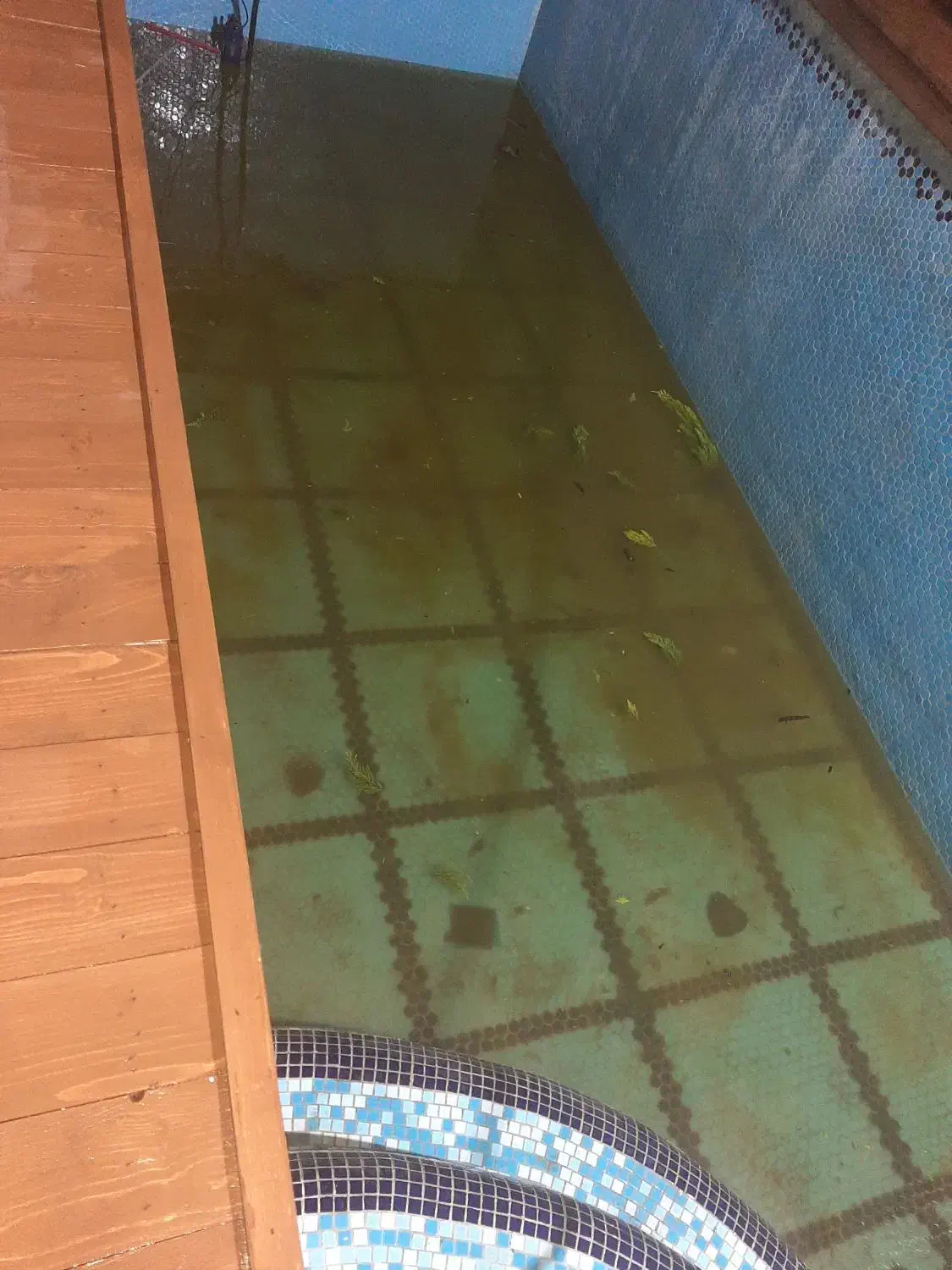 نظافت وشتشو استخر|خدمات نظافت|کلارآباد, |دیوار