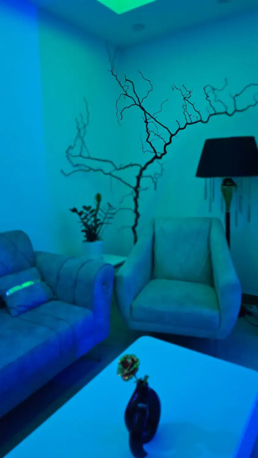 آباژور /روشنایی /دکوری وزیبایی/|چراغ خواب و آباژور|پرند, فاز ۴|دیوار