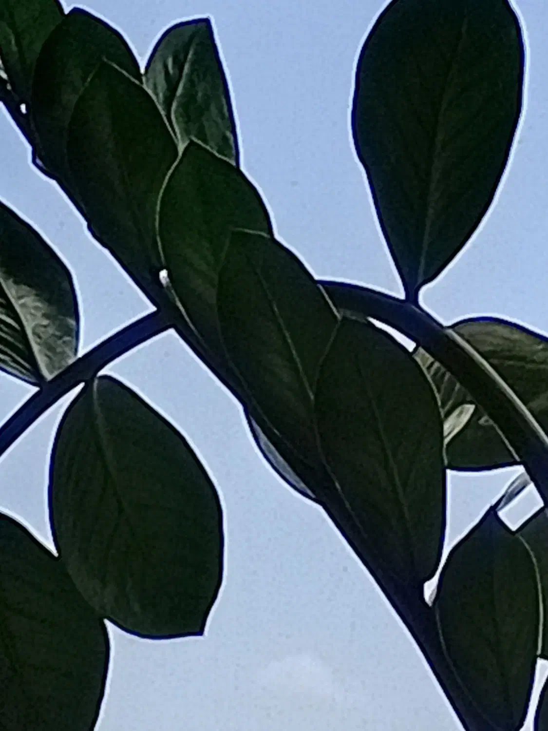 استخدامی|استخدام خدمات فروشگاه و رستوران|گرگان, |دیوار