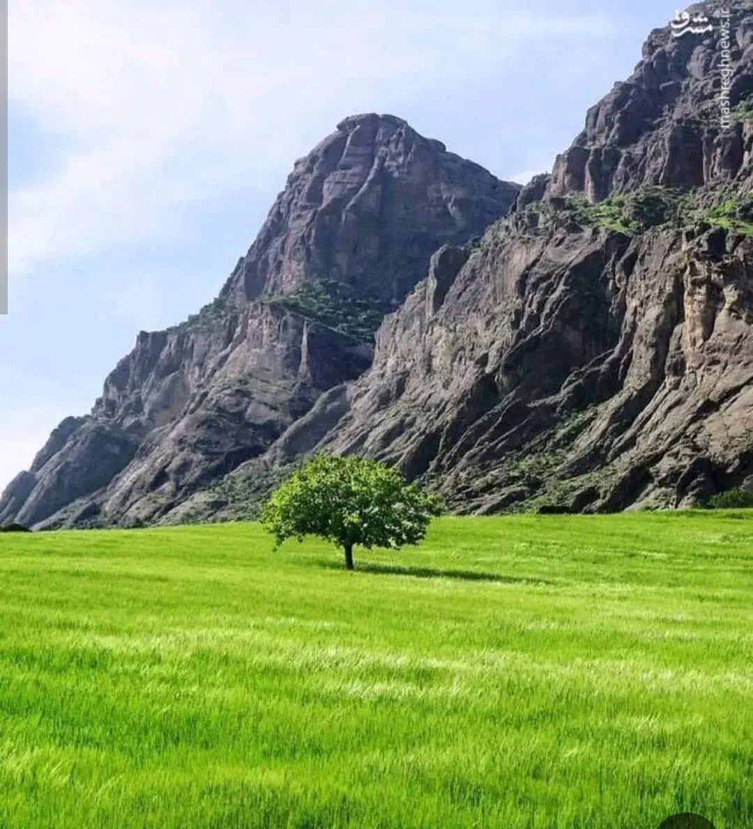 پیدا شده|اشیا|ایلام, |دیوار