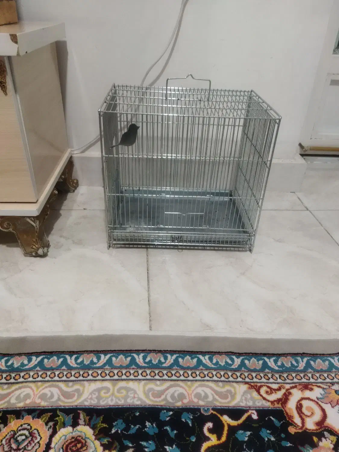 قفس زیبا ومحکم سایز متوسط|لوازم جانبی حیوانات|ایلام, |دیوار