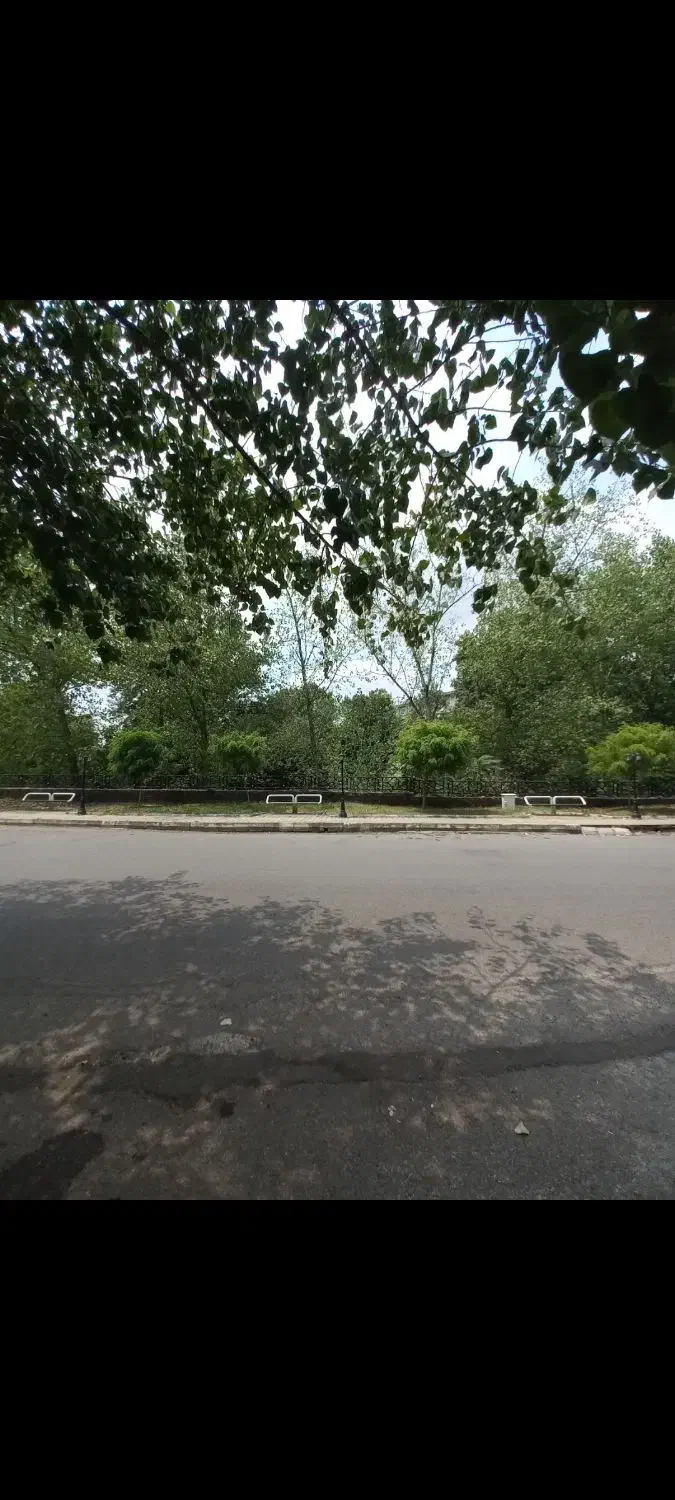 زمین / کشاورزی / ۳۰ هکتاری / شهری|فروش زمین و ملک کلنگی|رشت, منظریه|دیوار