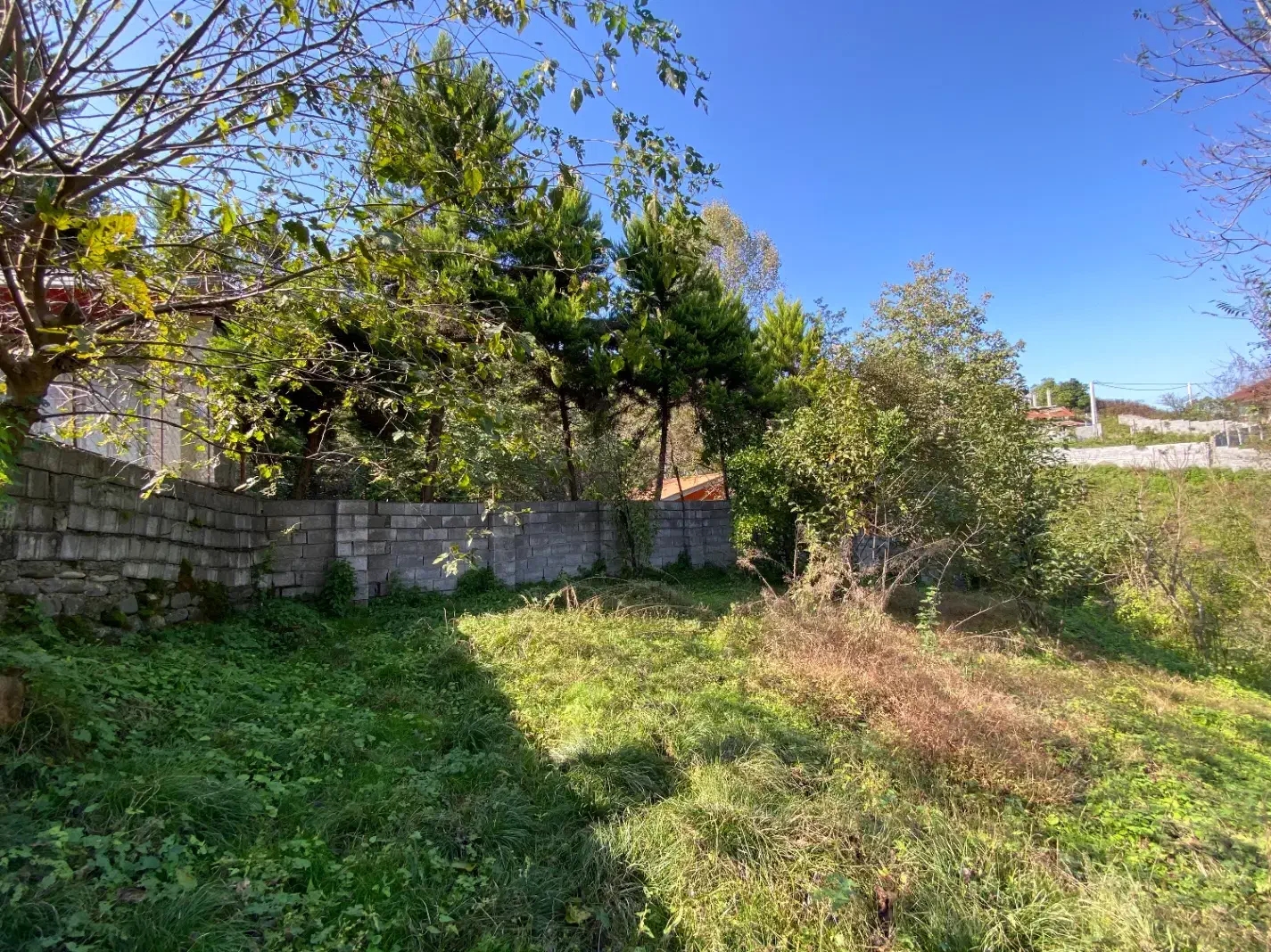 مسکونی در لفور|فروش زمین و ملک کلنگی|آلاشت, |دیوار