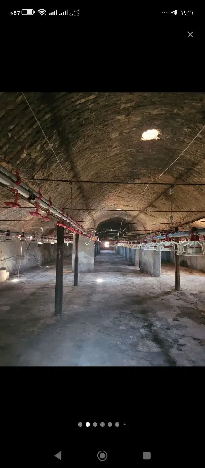 مرغداری معاوضه با.|فروش دفتر صنعتی، کشاورزی، تجاری|سبزوار, فرهنگیان|دیوار