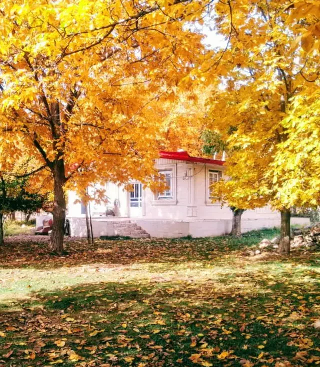 اجاره ویلا باغ در منطقه تفریحی کهمان|اجارهٔ کوتاهمدت ویلا و باغ|الشتر, |دیوار