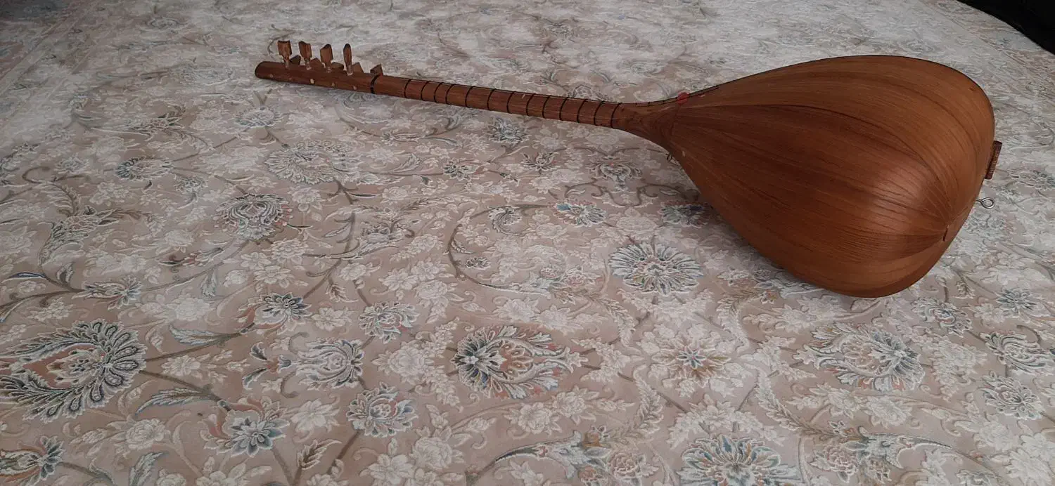 ساز قوپوز|سازهای سنتی|میانه, |دیوار