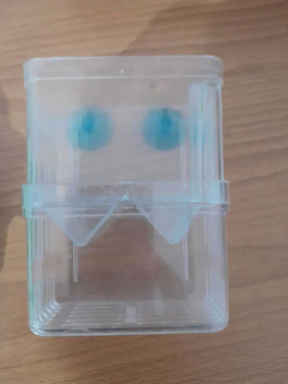 لوازم آکواریوم|ماهی|ارومیه, |دیوار