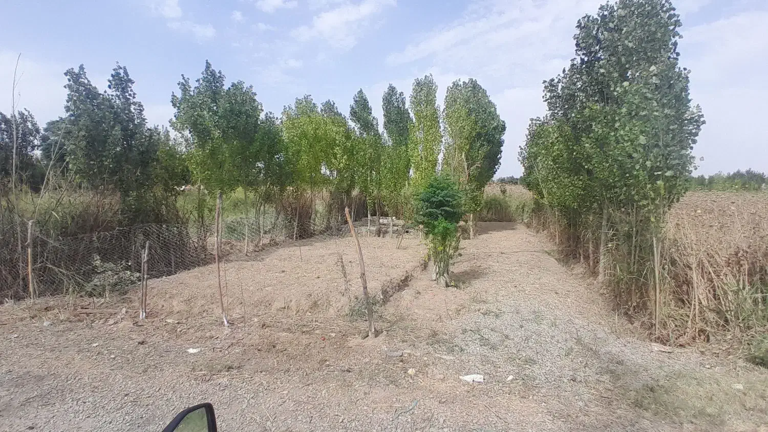 زمین باغچه ای|فروش زمین و ملک کلنگی|باقرشهر, |دیوار