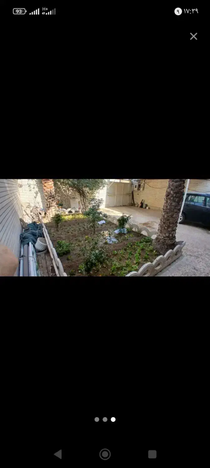 باغبانی هستم|خدمات باغبانی و درختکاری|بندر امام خمینی, |دیوار