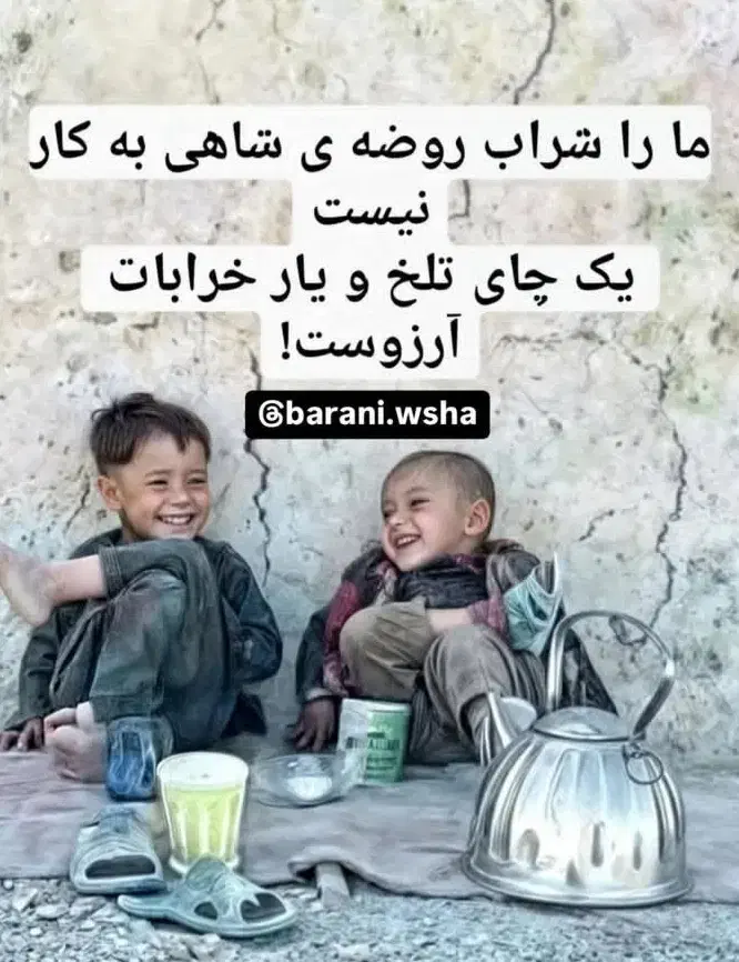 خار  فروشی|لوازم جانبی حیوانات|تربت جام, شیخ احمد جامی|دیوار