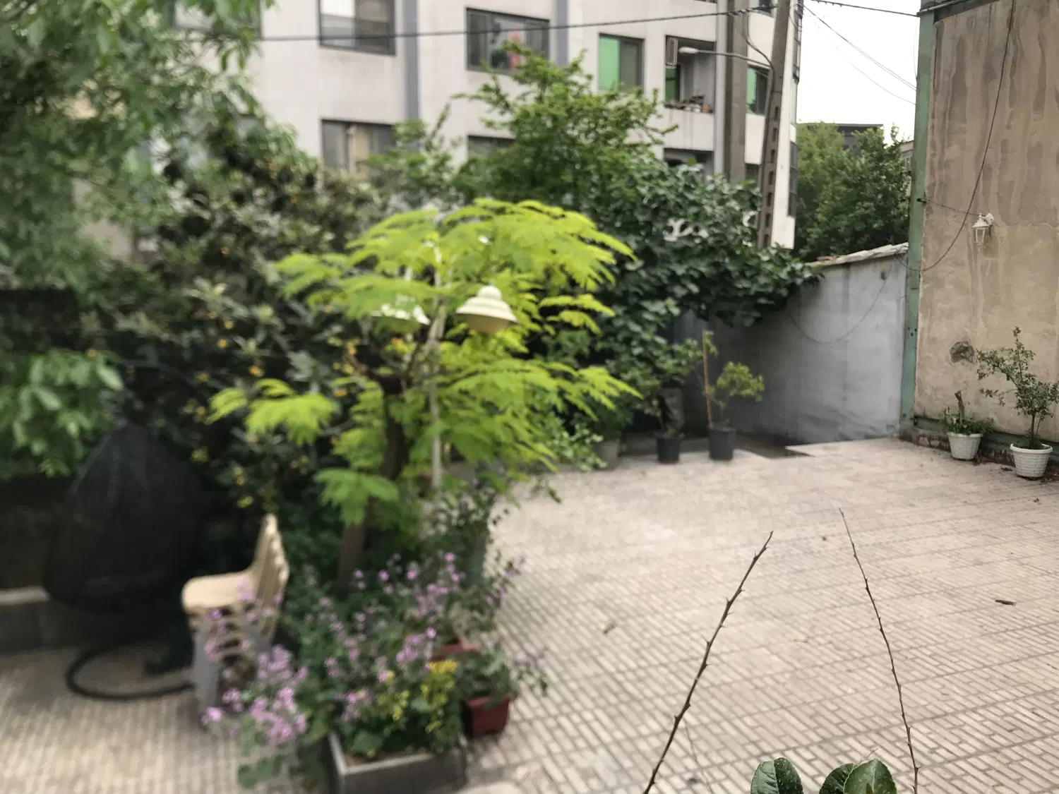 اجاره|اجارهٔ خانه و ویلا|تهران, حکمت|دیوار