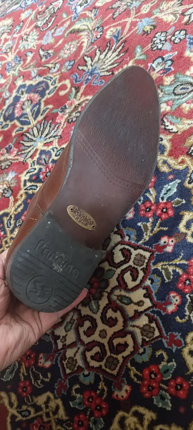 کفش مردانه|کیف، کفش، کمربند|قم, باجک یک|دیوار