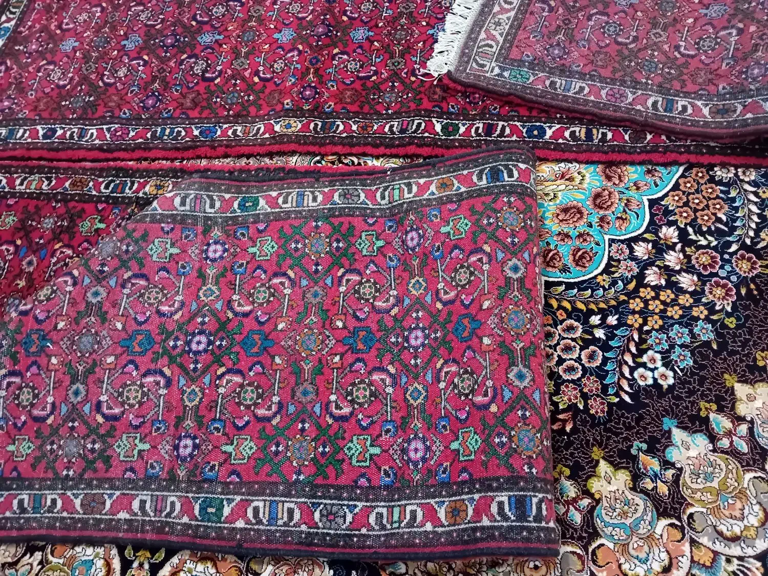 فرش دستباف نو پانخورده|فرش|همدان, |دیوار